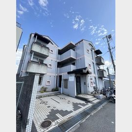 べルトピア西宮 3階 築36年6ヶ月の賃貸物件