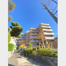 甲陽園駅より徒歩15分 2階 築36年3ヶ月の賃貸物件