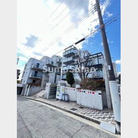 甲南山手駅より徒歩10分 2階 築36年5ヶ月の賃貸物件