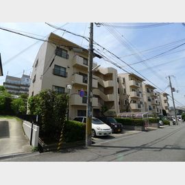 第2柏木ハイツ 4階 築43年9ヶ月の賃貸物件