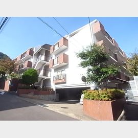 リバーサイド青谷 3階 築40年10ヶ月の賃貸物件