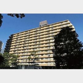 恵比寿駅より徒歩10分 5階 築39年の賃貸物件