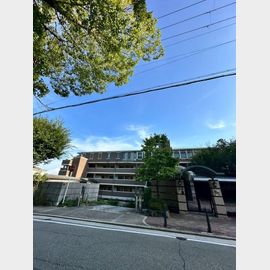 甲陽園駅より徒歩7分 2階 築25年2ヶ月の賃貸物件