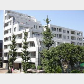 ダイナシティ碑文谷の賃貸物件