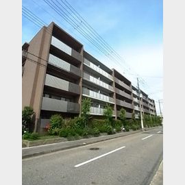 甲子園駅より徒歩12分 5階 築16年5ヶ月の賃貸物件