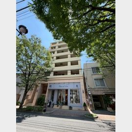 芦屋大桝町アネックスの賃貸物件