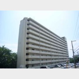 住吉台住宅３号棟 9階 築54年4ヶ月の賃貸物件