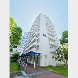 UR武庫川22号棟 10階 築46年5ヶ月の賃貸物件