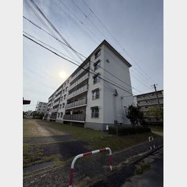 高倉台１０団地４６号棟 5階 築52年5ヶ月の賃貸物件