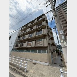 甲南メゾン本山 5階 築43年3ヶ月の賃貸物件