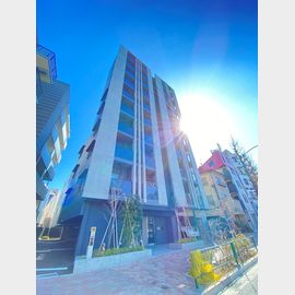 都立大学駅より徒歩11分 8階 築6年6ヶ月の賃貸物件