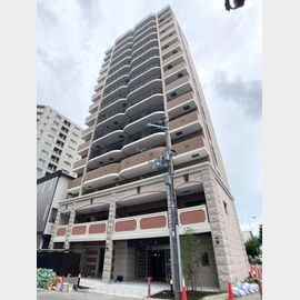 Luxe西長堀 8階 築5年1ヶ月の賃貸物件