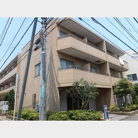 HF駒沢公園レジデンス 1階 築20年の賃貸物件