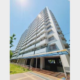 UR武庫川20号棟 10階 築45年の賃貸物件