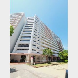 武庫川団地前駅より徒歩18分 11階 築42年4ヶ月の賃貸物件
