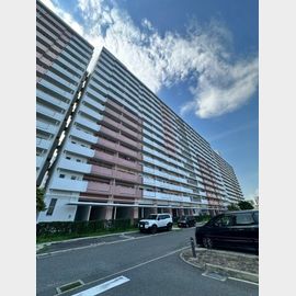 武庫川団地前駅より徒歩11分 12階 築41年4ヶ月の賃貸物件
