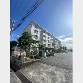 名谷駅より徒歩14分 4階 築48年10ヶ月の賃貸物件