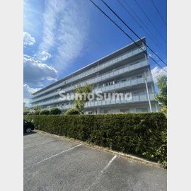 ひよどり台５団地２８号棟 5階 築51年1ヶ月の賃貸物件