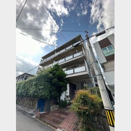 グレースシャトー 1階 築46年9ヶ月の賃貸物件