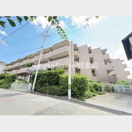 住吉駅より徒歩15分 3階 築34年5ヶ月の賃貸物件