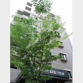 ピュアドームアクシアル天神 5階 築22年7ヶ月の賃貸物件