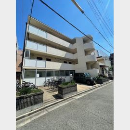 サンハイツ白鳩パート2 1階 築42年の賃貸物件