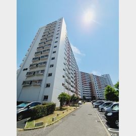 武庫川団地前駅より徒歩18分 4階 築42年の賃貸物件