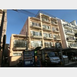 パレスマンション 2階 築53年4ヶ月の賃貸物件