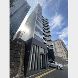 ウィステリア桜坂ヒルズ 7階 築14年の賃貸物件