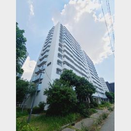 ＵＲ都市機構武庫川団地２３号棟 8階 築46年1ヶ月の賃貸物件