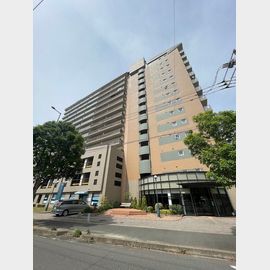 パロス美野島 14階 築29年5ヶ月の賃貸物件