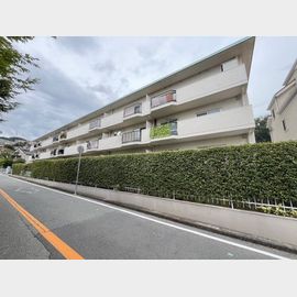 赤塚山ローズハイツ 2階 築52年2ヶ月の賃貸物件