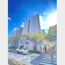 グランディオール広尾テラス 6階 築13年の賃貸物件