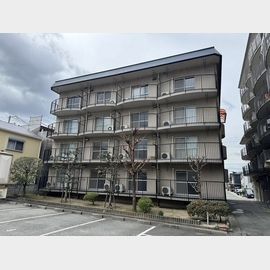 マンション和光 2階 築51年11ヶ月の賃貸物件