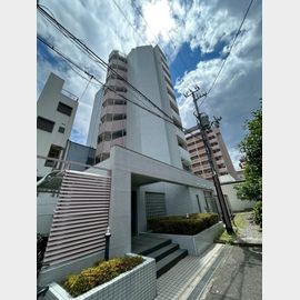 住吉駅より徒歩12分 7階 築35年3ヶ月の賃貸物件