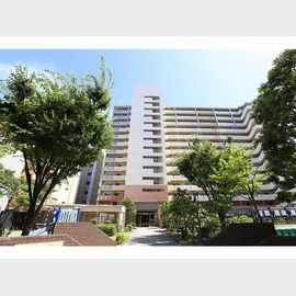岩屋駅より徒歩3分 8階 築27年1ヶ月の賃貸物件