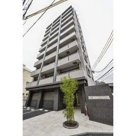ＮＥＳＴＰＩＡ六本松 4階 築10年5ヶ月の賃貸物件