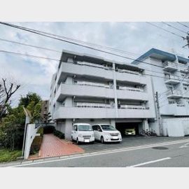 スコーレ大濠 1階 築42年1ヶ月の賃貸物件