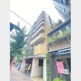 ラウスパレス三軒茶屋 8階 築40年11ヶ月の賃貸物件