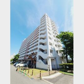 武庫川団地前駅より徒歩9分 10階 築40年1ヶ月の賃貸物件