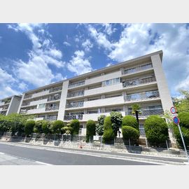 山御影マンションＡ棟 1階 築56年5ヶ月の賃貸物件