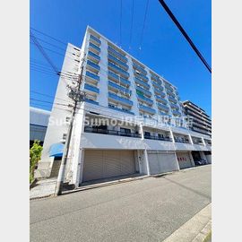 尼崎センタープール前駅より徒歩8分 10階 築52年8ヶ月の賃貸物件