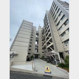 兵庫駅より徒歩15分 10階 築55年3ヶ月の賃貸物件