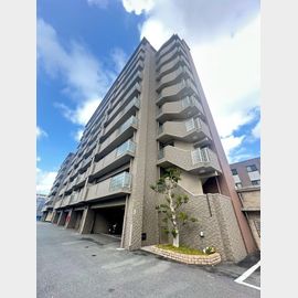 サンビオ空港通り2 8階 築19年の賃貸物件