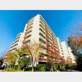 三軒茶屋駅より徒歩13分 築18年4ヶ月 10階建の賃貸物件