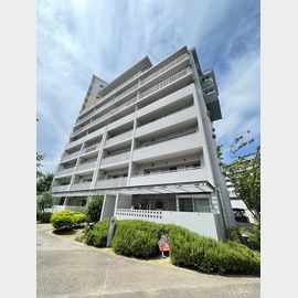 鳴尾・武庫川女子大前駅より徒歩14分 7階 築20年6ヶ月の賃貸物件