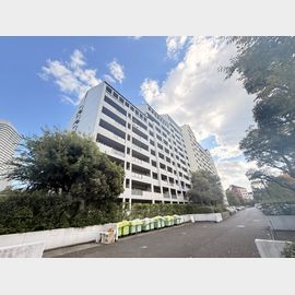 アイランドセンター駅より徒歩5分 7階 築37年4ヶ月の賃貸物件