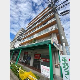 キャッスルハイツ平野の賃貸物件