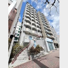 ルネッサンス王子 3階 築31年7ヶ月の賃貸物件