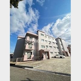 アメリア 3階 築45年6ヶ月の賃貸物件